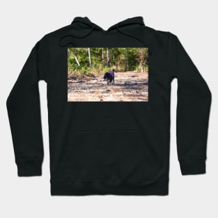 Queen of the Suburban jungle Hoodie